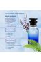Oil Based Perfume for Women – Wite Tee Lizbeth Ardan Inspired Fresh Floral Woody with Notes of White Tea, Amber & Tonka Bean – Alcohol-Free – 10 Hr Longevity for Daily Elegance (30 ML) - 3