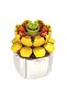 Flower and Succulent Series Block Toy - Decorative Building Blocks (Single Sale) Random Model Sent - 7