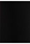 Regular Fit High Waist Wide Leg Women's Black Trousers - 5