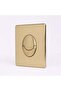 Chinese Matte Gold Round Concealed Siphon Press Button Flush Valve Face Plate