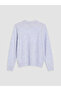 Lcw Everyday Blue Crew Neck Women's Knitwear Sweater - 6