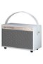 Portable Retro Speaker