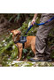 Convert Dog Harness Black Size m Dog Chest Harness - 3