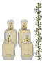 4 قطع عطر باراديس 100 مل