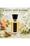 Amorie Perfumes & Incense PARLISSE Eau de Parfum Unisex 100ML, Fruity Floral Musky Fragrance with Melon, Apple, Peach, Jasmine, Tuberose, Musk & Sandalwood for Men & Women - 2