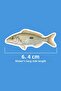 Fish 30 Pieces Sticker Pack Waterproof Laptop Thermos Phone Sticker Set - 2