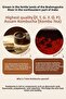 Brightening and Moisturizing Cream That Adds a Glowing Look to the Skin t'Else Kombucha Hydro Glow Cream - 6