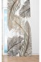 ستارة خلفية بجناح واحد من الريش - 2