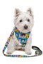 Adjustable Scarf, Chest Harness and Travel Strap Set of 3 - 2