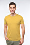 Men's Cotton Short Sleeve Colorful T-shirt - 421