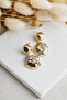 Accessory, Rosegold Steel Women's Earrings with Stones and Dangles