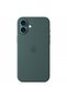 Husa MagSafe pentru iPhone 16 Plus, Verde - 3