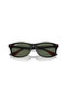 Rayban 0Rb4607M Gu+00Dcneu+015E F60271 55 Men's - 6