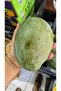Mango - 3