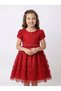Girls Party Dress with Lace Fabric