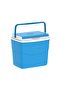 Picnic Icebox - 2