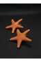 Sea Star Model Mine Handcrafted Steel Women's Earrings Summer Model Stylish Accessory Jewelry Titanium Summer Style New Gift Luck - 6