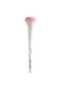 Blush Brush