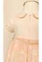 Soft Rose Embroidered Collared Baby Girl Dress - Children's Dress - 5