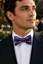 Purple Green Car Silk Bow Tie Sb222