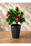 Decorative Potted Artificial Pomegranate Tree - Green Leafed Balcony Living Room Kitchen Office Decor Flower - 3