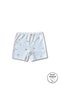 100% Cotton 8-Piece Girls' Undershirt Panties Set, Set of 4 / Ages 2-12 - 6