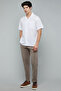 Striped Shirt with Revere Collar and Short Sleeves - 4