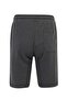 Ml Robin 20Ess309 5Fx Anthracite Melange Men's Shorts - 2