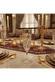 Crystal-Cut Acrylic Champagne Flute | 250 ml | Footed Stem Glass - 4