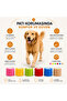 Cat and Dog Paw Bandage - Waterproof - Self-Adhesive - 6 Colors - 4