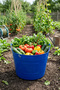 🧺 42 Liter Flexible Plastic Harvest Basket 45X42 cm |   Fruit, Vegetable and Citrus Collection Basket, Multi-Purpose Basket-2 Pcs - 6