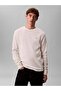 Men's Regular Fit Cotton Crew Neck Long Sleeve Ecru T-Shirt