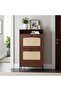 Renna Shoe Cabinet With USB Port & 3 Pin Plug Socket, 18 Pairs, 2 Doors, L60xW24xH104cm - Brown/Black - 6