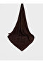 Brown Jacquard Woven Self-Patterned Women's Shawl