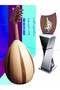 Egyptian educational Oud Mohamed Gamal - 2