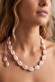 Sea Shell Mussels Choker Necklace - 2