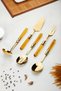 5 Piece Gold Serving Set & Serving Presentation Set Amber (Lovel / Colander / Spatula / Fork / Spoon) - 2
