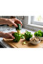 Dolma Pepper Core Practical