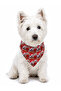 Adjustable Scarf, Chest Harness and Travel Strap Set of 3 - 3