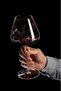 YKingder Wine Glasses Set of 2. 700ml Elegant Hand blown White and Red Wine Glasses. Lead-free Premium Crystal Clear Glass