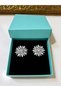 Silver Color Round Crystal Flower Earrings - 2