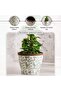 Alban Ceramic Planter 38x38x32.5cm- Green - 5