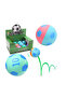 High Bounce Ball (1 Pc)