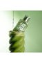 Perfume Matcha, SoliNotes, 50 ml - 2