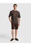 Dark Brown Comfort Fit 100% Cotton Crew Neck T-Shirt 50321198-Vr084 - 4