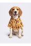 Dog Themed Pop-Art Summer Pet Shirt with Sunglasses - 2