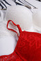 Women's Underwire Padded Lace 2-Piece Bra Set - 3