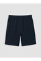 Lcwaikiki Classic Navy Blue Regular Fit Men's Shorts - 4