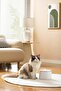 Smart Water Feeder For Pets (App Controlled)-White - 4