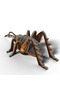 Puzzle, Eugy, 42 piese, 3D - 6